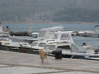 2010_03_10__12_16_53.jpg