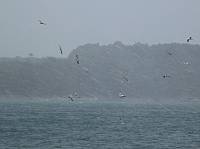 2010_03_10__13_26_01.jpg