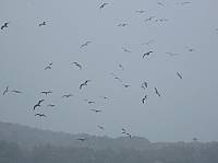 2010_03_10__13_26_06.jpg