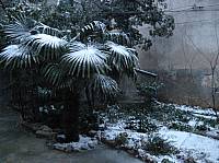 2010_03_10__18_02_43.jpg