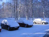 2007_01_05_ (1002)